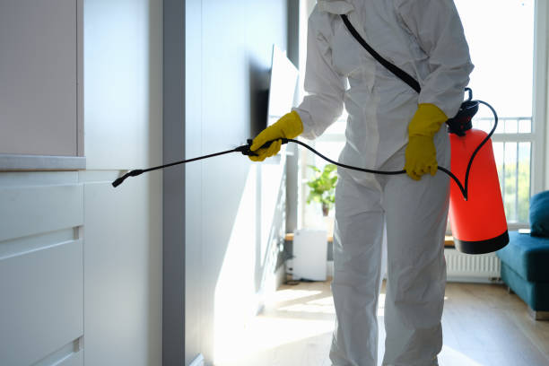 Best Toxic Mold Removal  in Brent, FL
